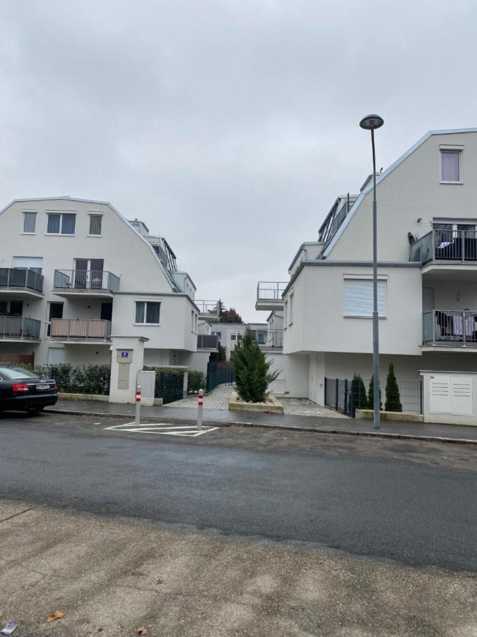 Modern Apartment With Garden Near City Center Wien Exteriör bild