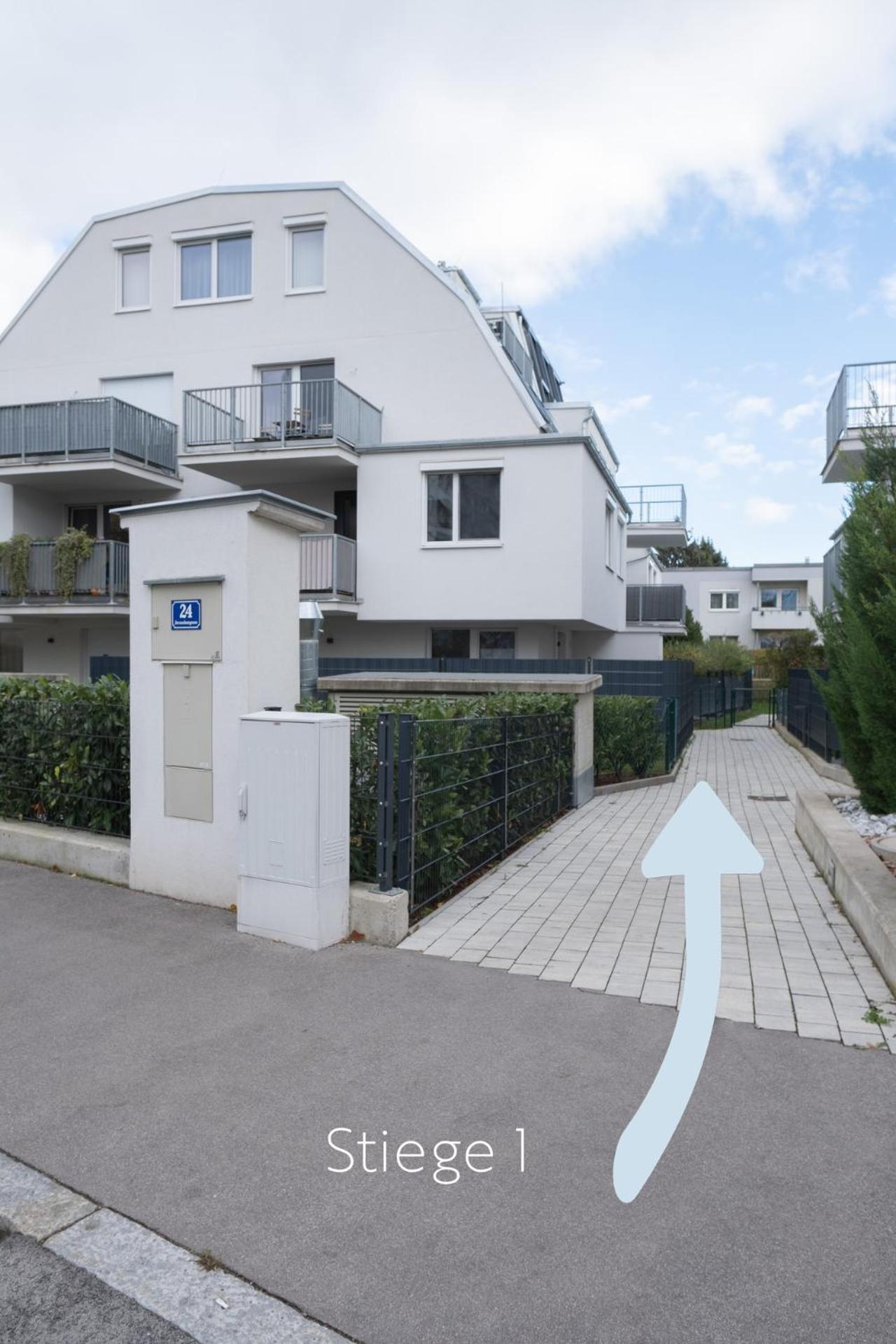 Modern Apartment With Garden Near City Center Wien Exteriör bild